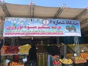 ۷ هزار تُن میوه شب عید در استان تهران می‌شود