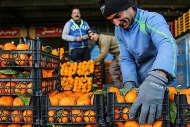 فروش آنلاین کالاهای شب عید در کهگیلویه و بویراحمد/ ۶۰۰ تن سیب و پرتقال آماده توزیع است