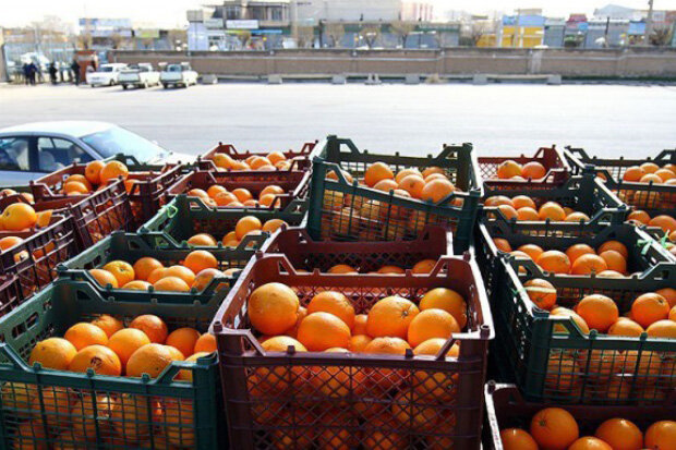 مازندران استان معین تنظیم بازار میوه شب عید در کشور است 