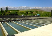 تعرفه های بالای آبزی پروری در مازندران