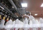 یک کارخانه در گیلان روزانه ۲۰۰ هزار اسپری ضدعفونی تولید می کنند