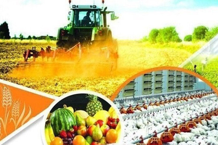  سهم بخش کشاورزی از تولید ناخالص داخلی زنجان ۲۵ درصد است