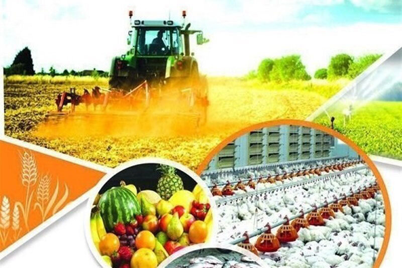تولید سالانه ۴۲۵ هزار تن محصول کشاورزی خارج از فصل در سیستان و بلوچستان