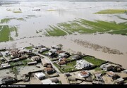 خسارات قابل توجه سیلاب به دامداری های جنوب کرمان