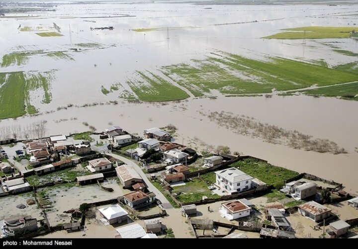 خسارات قابل توجه سیلاب به دامداری های جنوب کرمان