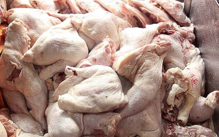 ۷۰۰ تن مرغ مازاد تولید در گیلان خریداری شد