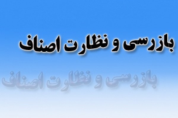 ۳۵۶۷ مورد تخلف صنفی در زنجان ثبت شد