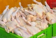 سالانه ۵۲ هزار تن گوشت مرغ در ایلام تولید می شود