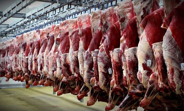 روزانه ۲۵۰ تن گوشت قرمز تا ۵ ماه آینده وارد کشور می‌شود