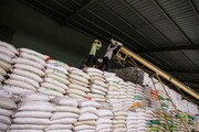 اتهام ندانم کاری انجمن واردکنندگان برنج به مدیر بازرگانی دولتی