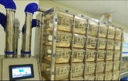 راه اندازی سیستم تولید و پرورش موش‌های آزمایشگاهی در موسسه رازی