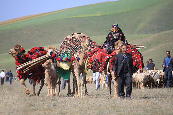 ۸۰ هزار نفر روستایی و عشایر اردبیلی عضو صندوق بیمه اجتماعی روستاییان هستند