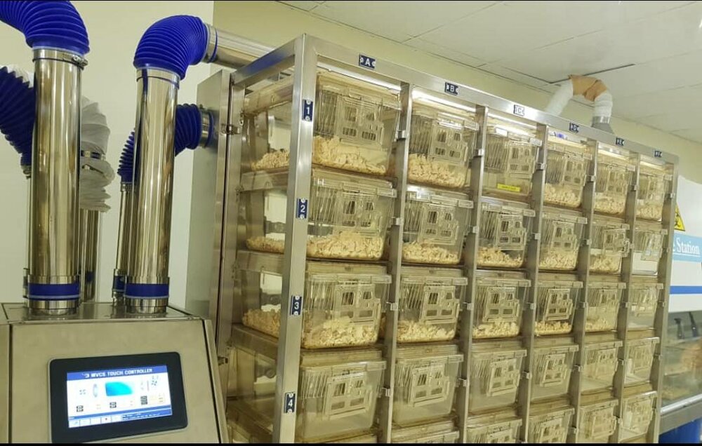 راه اندازی سیستم تولید و پرورش موش‌های آزمایشگاهی در موسسه رازی