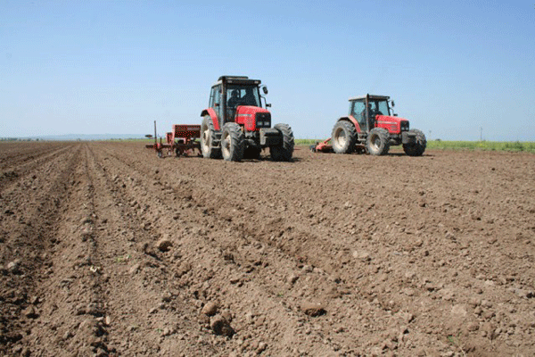 باک‌های خالی ماشین آلات کشاورزی در مهران| سهمیه‌ای که به تراکتورها نرسید