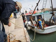 افت شدید تقاضا برای آبزیان در ایتالیا