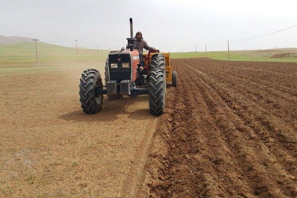 مزارع استان مرکزی منتظر بذرهای گواهی‌شده/ فرصت کشت بهاره از دست نرود