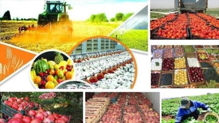 ثبت رکوردهای صادراتی بخش کشاورزی و غذایی
