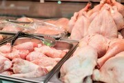 حداکثر نیاز ماهانه مرغ گرم ۲۷۰ هزار تن است