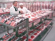 کاهش ۴۰ درصدی قیمت گوشت بسته بندی شده رستورانی