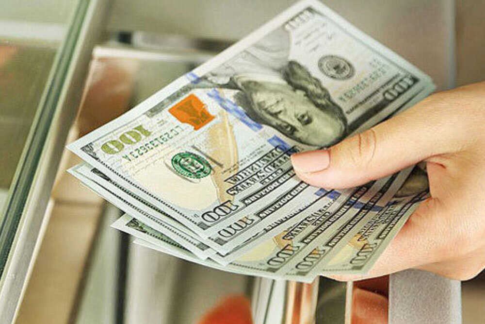هشدار کارشناسان به خلاهای طرح حذف ارز | دولت تبعات جراحی اقتصادی را گردن بگیرد