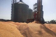 ظرفیت ۱۹۹ هزار تنی انباری محصولات کشاورزی در مازندران