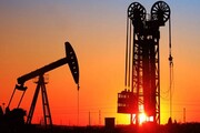 افزایش بهای نفت به بالای ۱۴ دلار