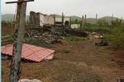 ۴۲ هکتار ساخت و ساز غیرمجاز در اراضی کشاورزی همدان تخریب شد