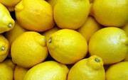 تقاضای جهانی برای لیموی تازه در حال افزایش است