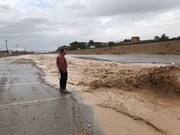 بارش شدید باران موجب آبگرفتگی معابر استان سمنان شد