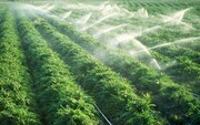 ۱۸۰ هزار هکتار از اراضی کشاورزی آذربایجان‌شرقی مستعد اجرای سیستم های نوین آبیاری