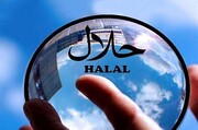 سهم کوچک ایران دررقابت با کافران فعال در بازار حلال!