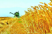 اختصاص ۱۰۴۰ میلیارد ریال اعتبار برای بخش مکانیزاسیون کشاورزی آذربایجان‌غربی