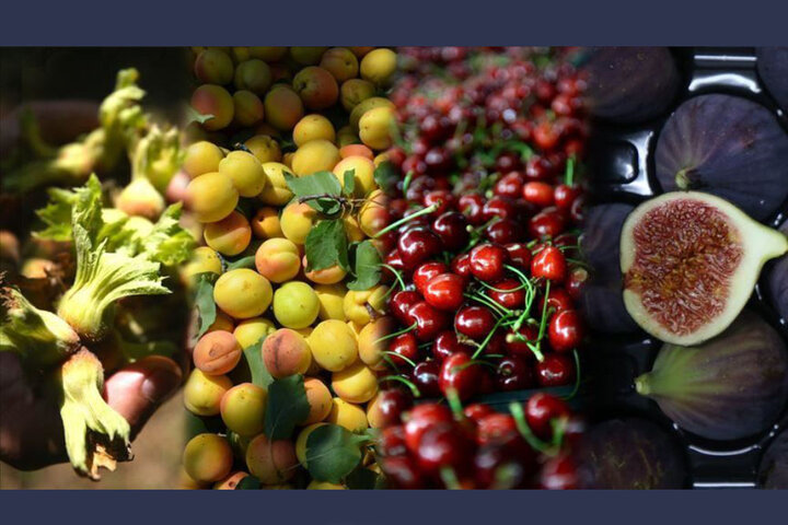 ضرورت اصلاح قیمت پایه صادراتی محصولات کشاورزی در فارس