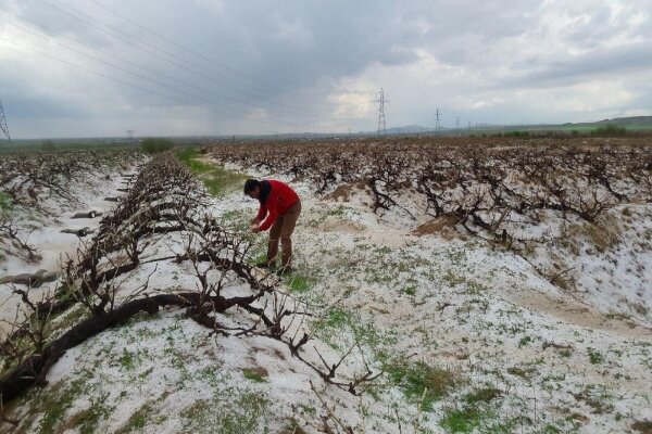 بارش تگرگ سردشت را سفید پوش کرد؛ ثبت ۳۷.۶ میلی‌متربارش