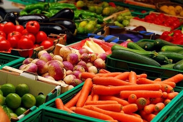 بیش از ۸هزار تن انواع محصولات کشاورزی از زنجان صادر شده است