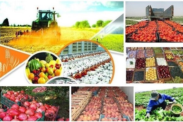 صادرات ۱۳۶ میلیون دلاری کالاهای کشاورزی از گمرکات آذربایجان‌شرقی