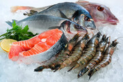 قیمت انواع ماهی در ۵ مرداد ۱۴۰۰