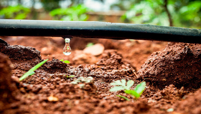 مصرف  ۹۰ درصد آب در بخش کشاورزی دروغ است!/ دیواری کوتاه تر از بخش کشاورزی نیست!