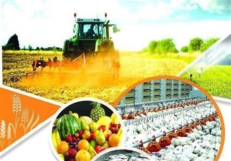 پرداخت ۱۰ میلیارد تومان تسهیلات به ۳۱ طرح کشاورزی در کهگیلویه و بویراحمد