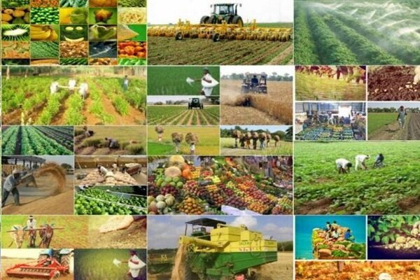 مثلث تکنولوژی، سرمایه‌گذاری و بازار فروش، ضرورت جهش تولید در کشاورزی