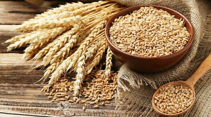 خرید گندم در کشور از یک میلیون تن فراتر رفت