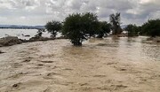 خسارت سیلاب به زمین های کشاورزی شهرستان کلیبر