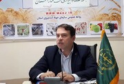پیش بینی برداشت ۸۰۰۰ تن محصول کلزا از مزارع آذربایجان غربی