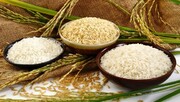 ۱۲۰ هزار تن برنج خارجی وارد شده است