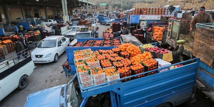 ورود سازمان میادین میوه و تره بار شهرداری تهران به صادرات میوه