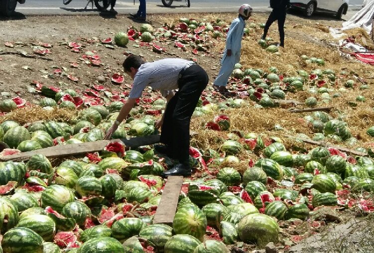 بحران کم‌آبی و زنگ خطر کشت محصولات آبدوست در همدان| از کشت سیب زمینی تا هندوانه 