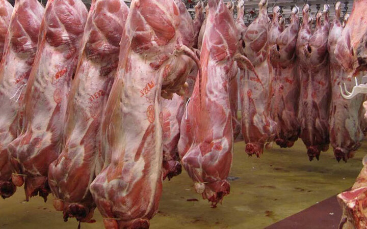 فروردین امسال ۲۲ هزار تن گوشت قرمز تولید شد 