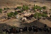 عشایر خراسان شمالی با کمبود سوخت مواجه هستند
