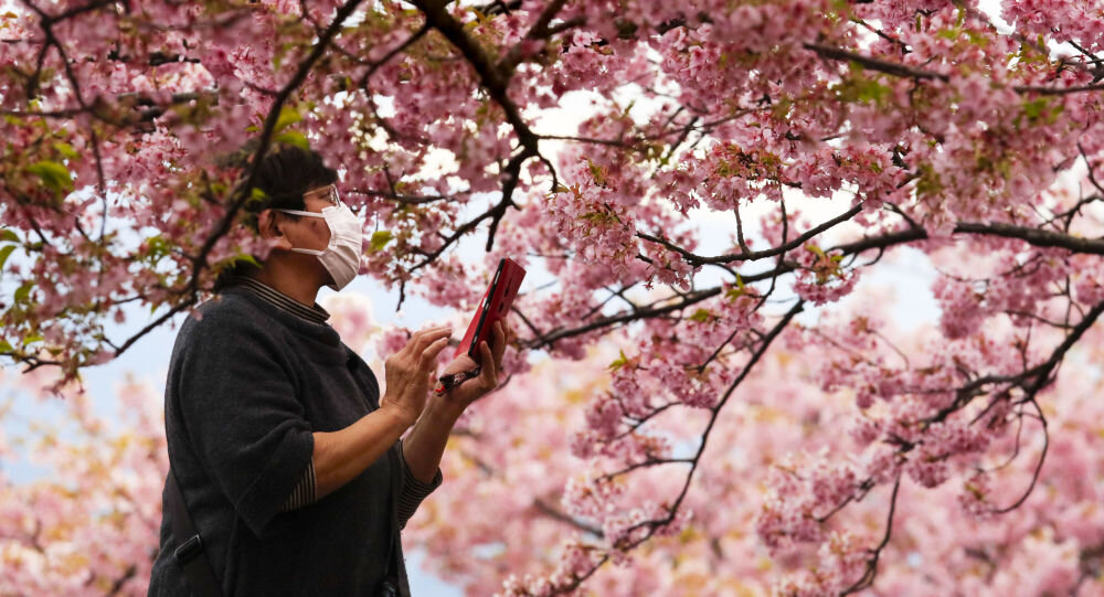ثبت رکورد ۷۰ میلیون نفر شب اقامت گردشگران در مازندران