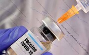 فعالیت ۵ شرکت دانش بنیان برای تولید واکسن کرونا